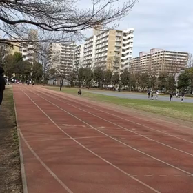 ６年生記録会 100m①の画像