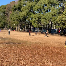 ジャベリックボール投げ⑤の画像