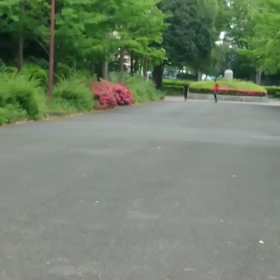 選考会動画⑩の画像