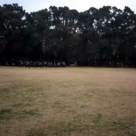 学年別インターバル②の画像
