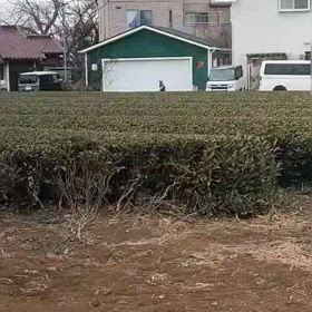 中間点（４区動画）②の画像
