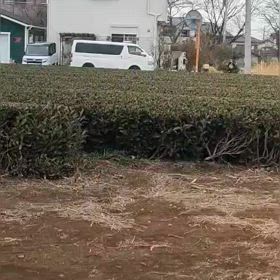 中間点（３区動画）③の画像