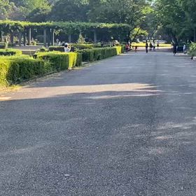 9/14 リレー選考会⑥の画像
