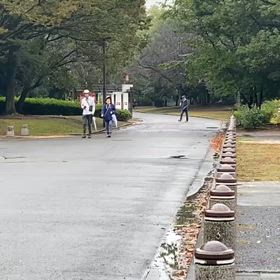 県駅伝選考会（11/2  ）⑤の画像