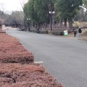 2/17 リレー選考会⑥の画像
