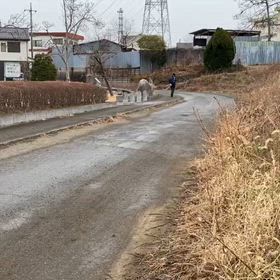 駅伝コース前半（公園前）⑮の画像