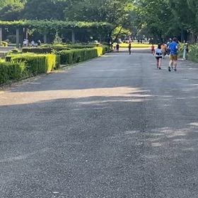 9/14 リレー選考会⑬の画像