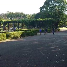 9/14 リレー選考会㉓の画像