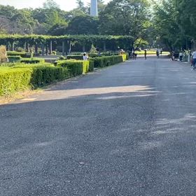 9/14 リレー選考会④の画像