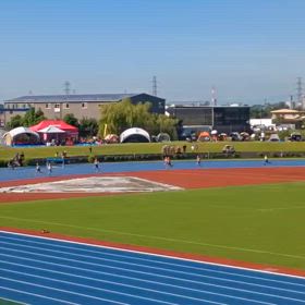 女子800M⑦の画像