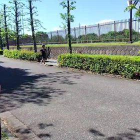 4/29 1000m１組目⑦の画像