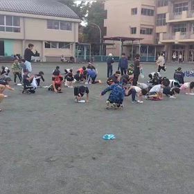 11/16 タオルトレーニング②の画像