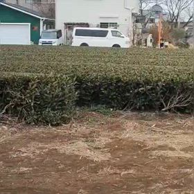 中間点（５区動画）③の画像