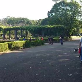 9/14 リレー選考会⑯の画像