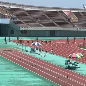 日清カップ（6年女子100m）⑤の画像