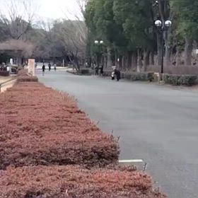 2/17 リレー選考会　鈴木里玖斗くん最速記録の画像