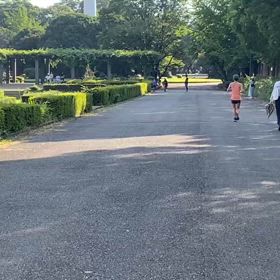 9/14 リレー選考会⑪の画像