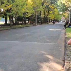 県駅伝選考会(スタート・ゴール付近)⑥の画像
