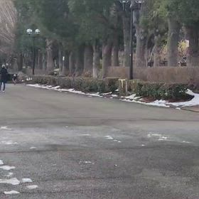 リレー選考会（男子）ゴール付近⑱の画像