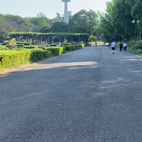 南理花さん最速タイムの画像