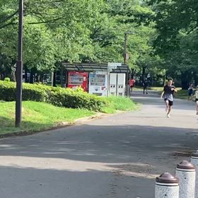 長距離陣の活躍（1500m）の画像