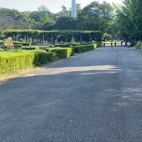 9/14 リレー選考会⑨の画像