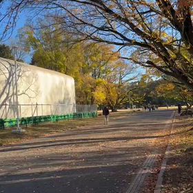 11/22 1500m②の画像