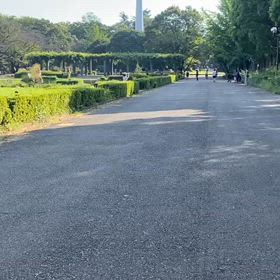 9/14 リレー選考会⑤の画像