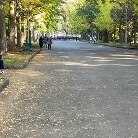 県駅伝選考会(スタート・ゴール付近)①の画像