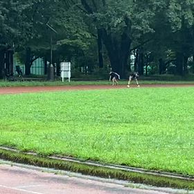 9/1 リレー練習①の画像