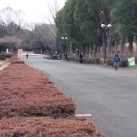 2/17 リレー選考会⑧の画像