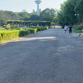 9/14 リレー選考会⑦の画像