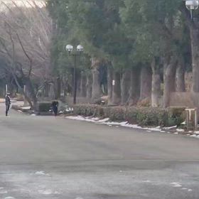 リレー選考会（男子）ゴール付近⑳の画像