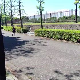 4/29 1000m１組目⑥の画像