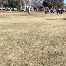 3/10 リレー特別練習⑦の画像