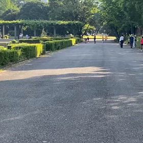 9/14 リレー選考会⑫の画像