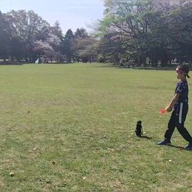 4/6 ジャベリックボール投げ⑤の画像