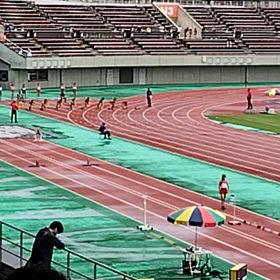 ５年女子100m予選第１組の画像