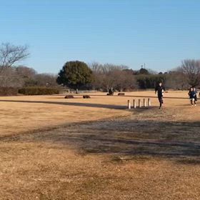 令和７年　初練習（長距離）①の画像