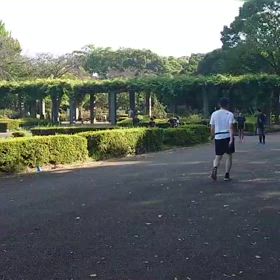 9/14 リレー選考会⑰の画像