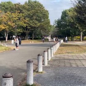 県駅伝選考会（10/27）②の画像