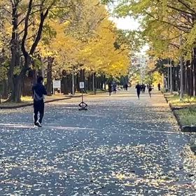 県駅伝最終選考会（ゴール）①の画像