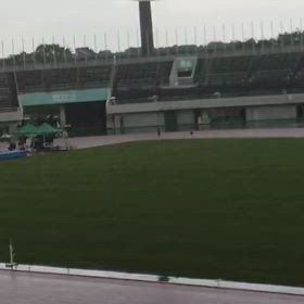 ５年男女800m②の画像