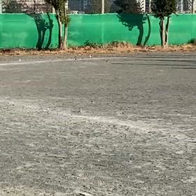 12/14東金子駅伝選考会（男子）⑦の画像