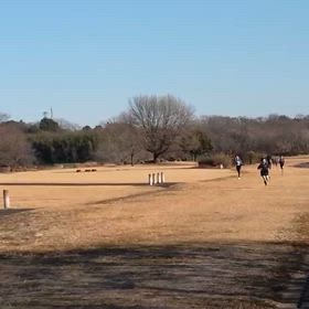 令和７年　初練習（長距離）②の画像