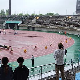 男女混合リレー　決勝進出の画像