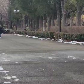 リレー選考会（男子）ゴール付近⑮の画像