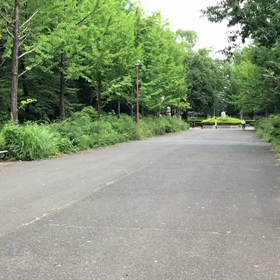 100m記録会 Aグループ③の画像