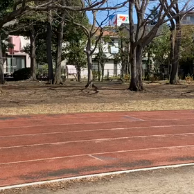 リレー特別練習（トラック）②の画像