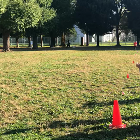 1000m 記録会 第２組⑦の画像